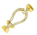 CLASPS